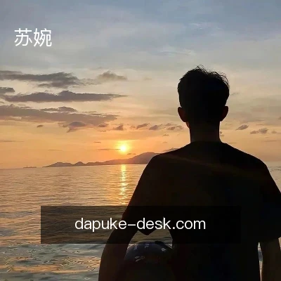 苏婉
